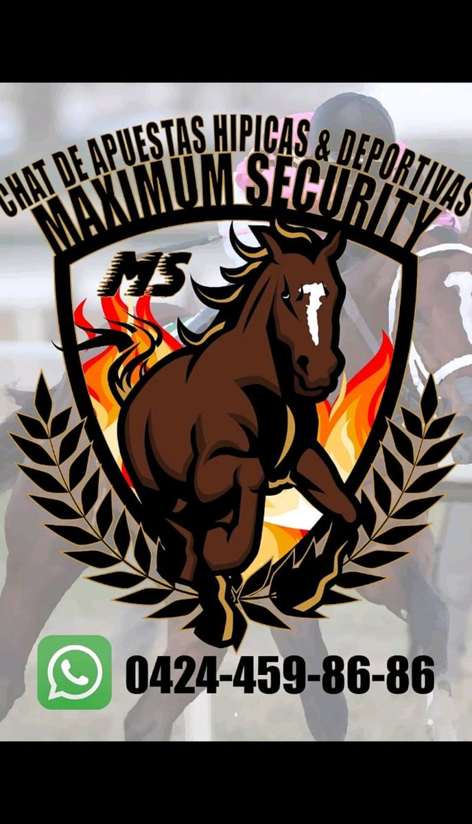 MAXIMUM SECURITY (@GrupoMaximum) / Posts / X