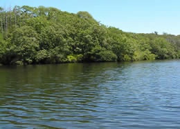 Ice House Pond will reopen for swimming starting Aug. 1st.  Reservations for a 1 hour slot must be made in advance.  m.facebook.com/story.php?stor…
