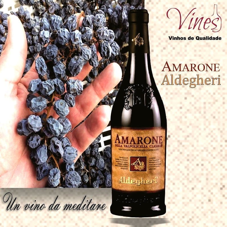 O AMARONE DELLA VALPOLICELLA CLASSICO ALDEGHERI é um vinho com maior concentração de aromas e sabores. Simplesmente, irresistível! É um dos melhores exemplos de qualidade entre os Amarones. Vino per meditare
Confira em nosso website: vines.com.br/produtos/amaro…
(11) 97310 0948