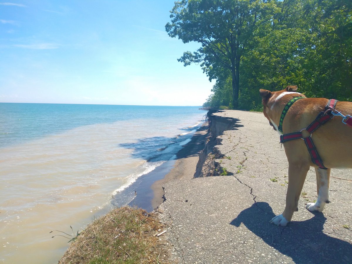 ilija_dimeski's tweet photo. Amazing time this past weekend at @Wheatley_PP ! @OntarioParks has so many beautiful sceneries to offer, including this gem in #ChathamKent #ckont
#LivingCK #CKToday #BeautifulCK #HPHP https://t.co/IQCQTcCsRg