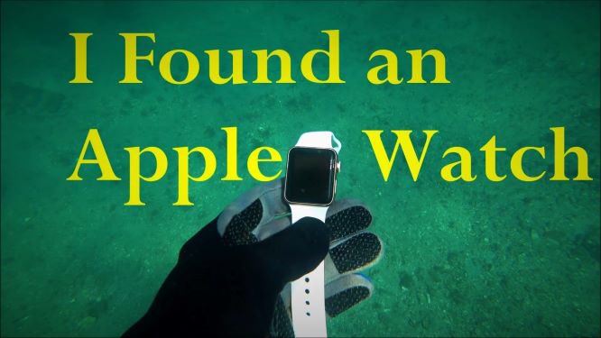 Video coming tomorrow morning at 4:30 AM. Use the link in bio to see this and all my other underwater and snorkeling videos. #apple #applewatch #snorkeling #underwaterphotography #videography #jupiterflorida #snook #underwatervideography #retiredinflorida