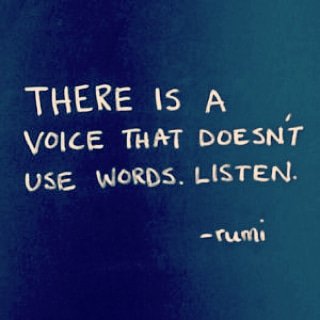 JORDAN & (Phoenix Conure) (@cinnaphoenix) on Twitter photo 