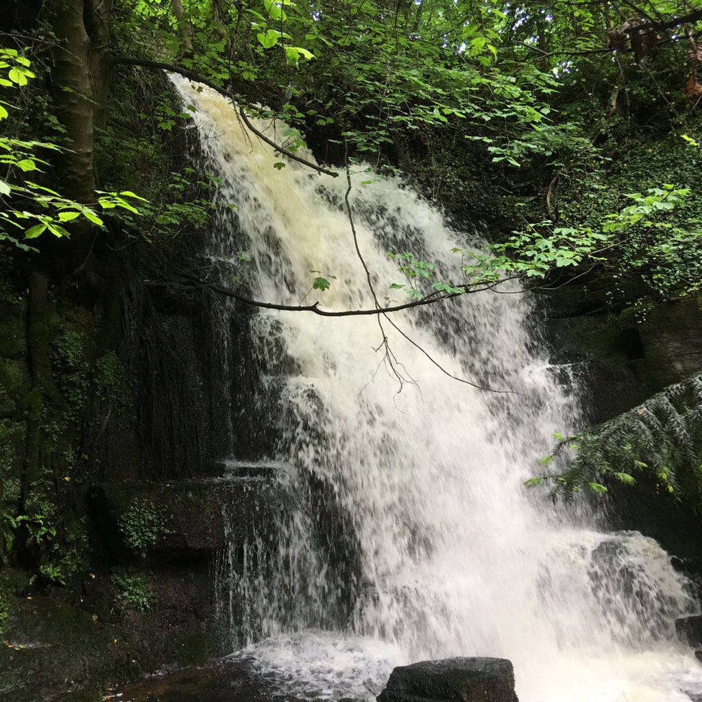 OneLoveGreen1's tweet photo. #Waterfall #dog #northyorkshire #england #countryside https://t.co/hxiCNjXTed