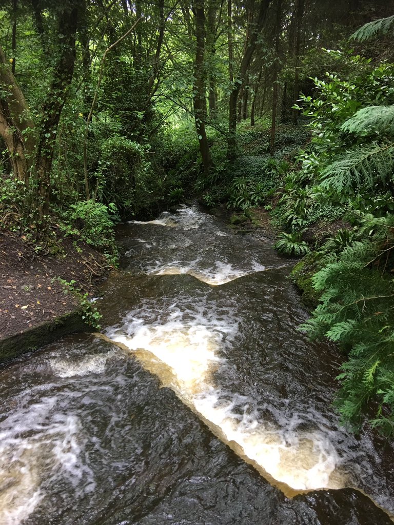 OneLoveGreen1's tweet photo. #Waterfall #dog #northyorkshire #england #countryside https://t.co/hxiCNjXTed