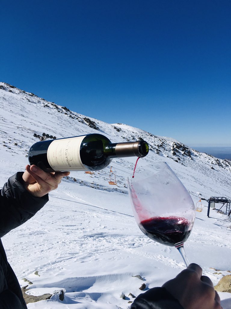 TomiObregon's tweet image. Que linda sos, Mendoza. ❤️🍷