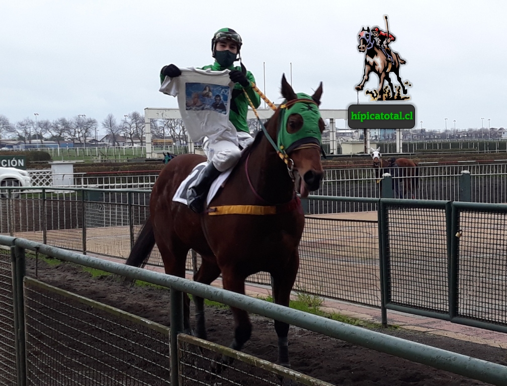 hipicatotal's tweet photo. LENNART P. SILVA “Es de primera”. Al ganar con el finasangre SPECTACULAR CAT, el jinete oriundo de Catapilco completó 60 triunfos y pasa a ser jinete de Primera Categoría. Felicitaciones y que sigas cumpliendo tus metas. #hipicatotal #LennartP.Silva #SpectacularCat https://t.co/HSFLJEcdV1