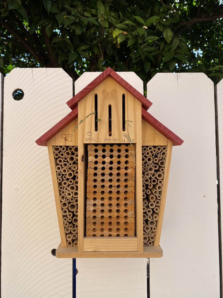 jasmine_blu's tweet photo. put up my little bee house today 🐝 https://t.co/mDHmxDem9S
