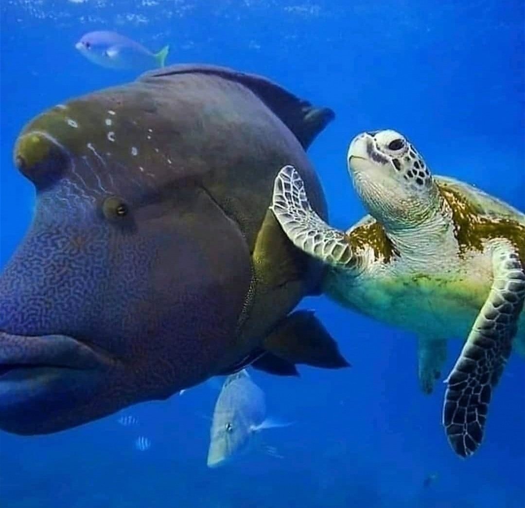 Oh yeah! 🙏🤟🤟😎😎