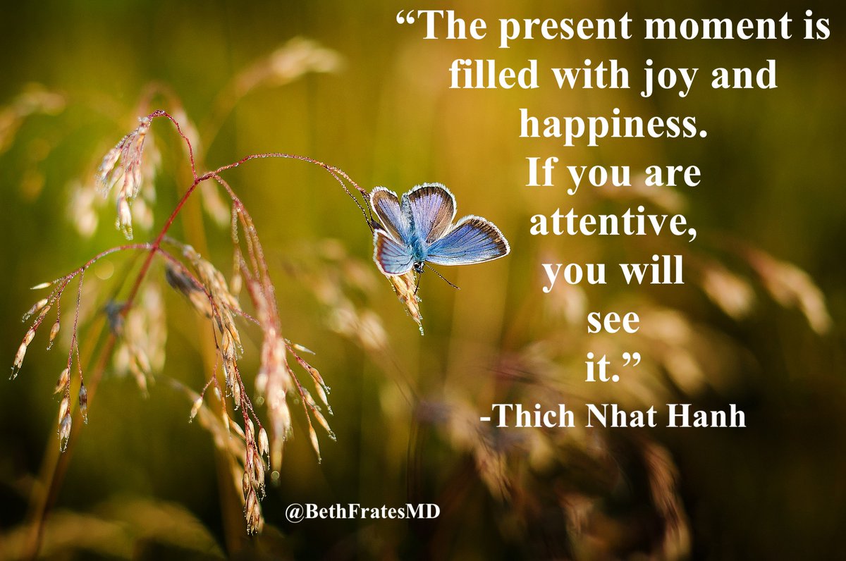 When we are mindful of the beauty around us, we open the door for joy to fill our hearts.

#TuesdayThoughts #JoyTRAIN #beauty #quote #LifeCoach