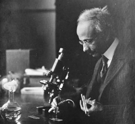 Born in Monrovia, Liberia, Dr. Solomon Carter Fuller was involved in the earliest investigations surrounding Alzheimer's disease. As in, he studied with Alois Alzheimer himself.Some of the neurological questions Fuller posed in his time are still being answered to this day.