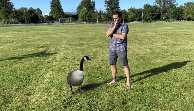 BunionHeadlines's tweet photo. Guy On Vacation Pretty Sure He’s Seen That Goose In Omaha https://t.co/eSVcZnVh9Q #TheBunion #BunionHeadlines https://t.co/yGbasinTOO