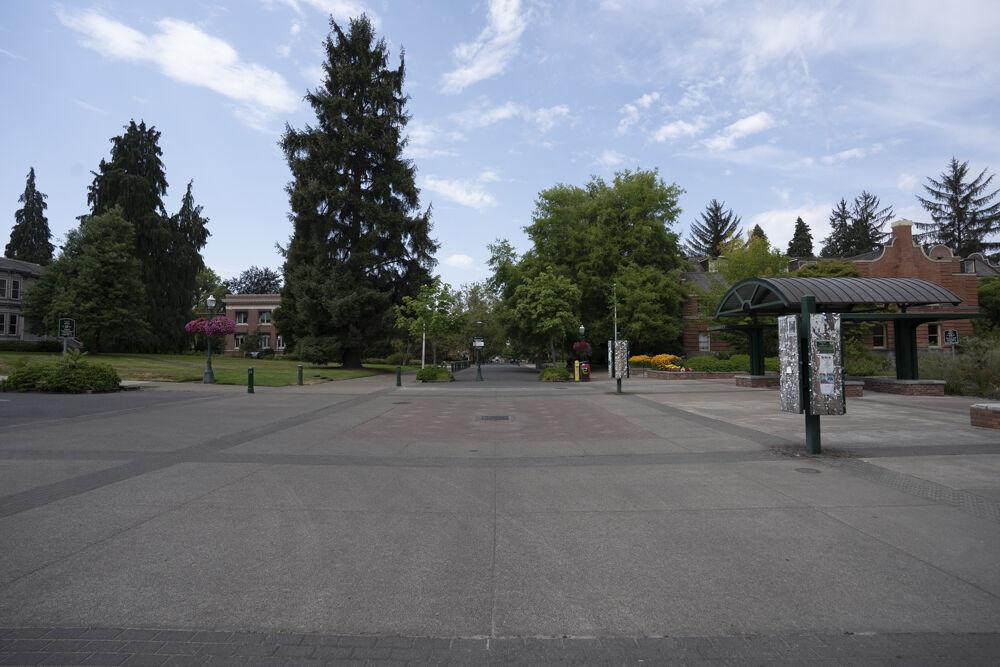 ODEphoto's tweet photo. Missing the UO campus a little extra the past few months? Check out these photos to see how campus has been holding up! // Photos by @kd_wangg https://t.co/M3QcXhNEvY