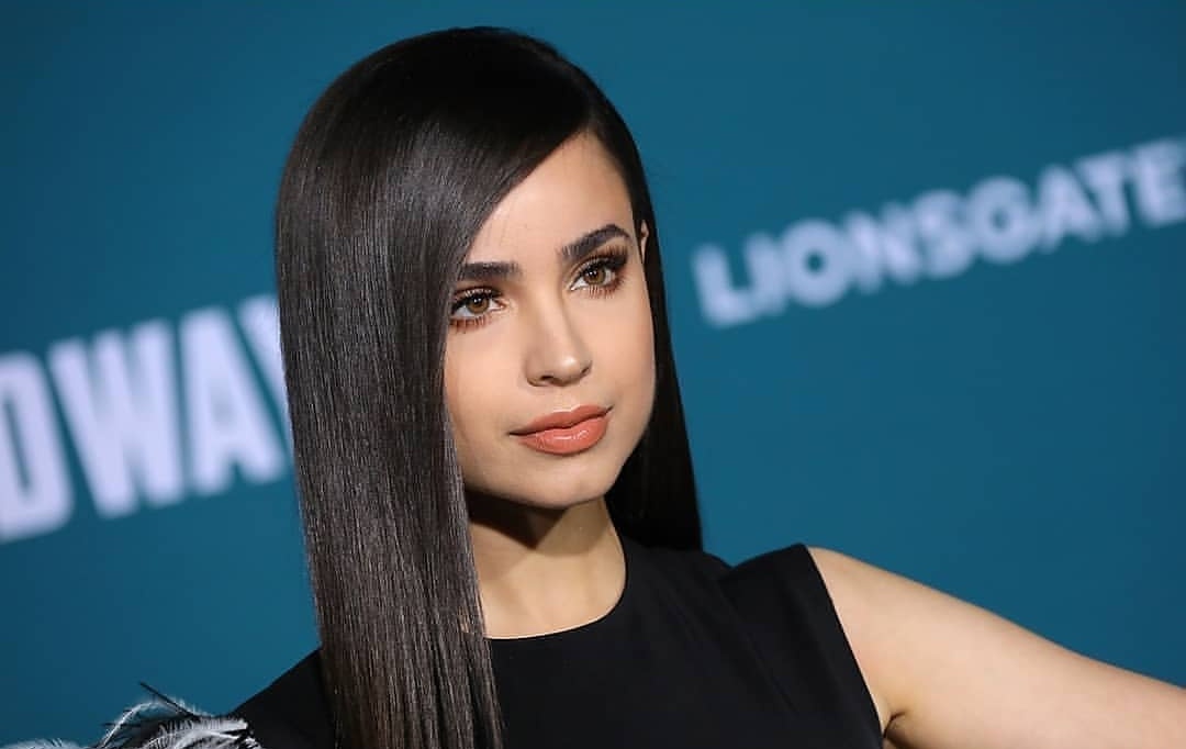 Sofia Carson Forever tweet media
