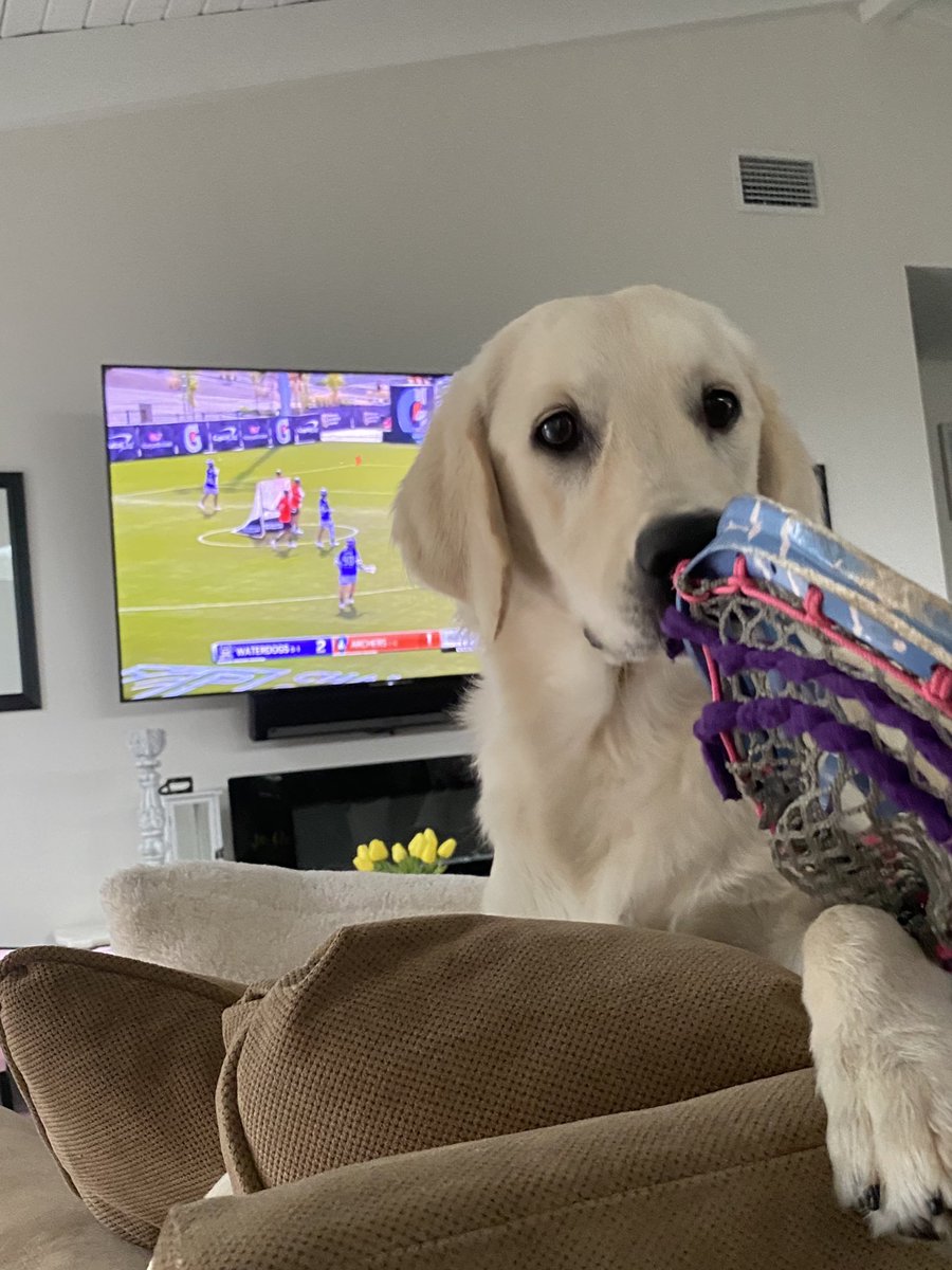 pmrasmus's tweet photo. Coach @AndyCopelan_PLL put Daisy in at attack with her favorite @PLLWaterdogs player Ryan Drenner @ChefBoy_RD_ She’s ready to go! #PLLWATCHParty https://t.co/M9qLRgpkwH