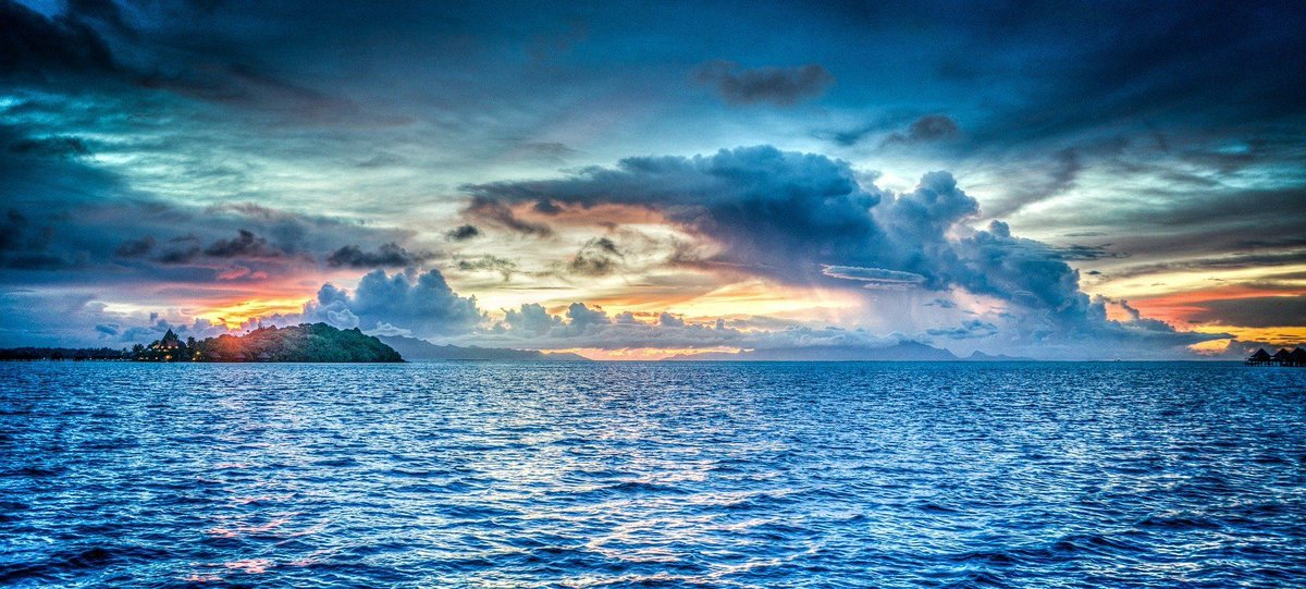 CSUMGMA's tweet photo. Extreme #environmental conditions caused by #ClimateChange can lead to a massive reshuffling of #biodiversity on the planetary scale. #Tropical regions will likely be the first affected. #GHGmanagement #cleanfuture #sustainability #carbon https://t.co/ZuVYZeXYQJ https://t.co/Rbq0FlaZvB