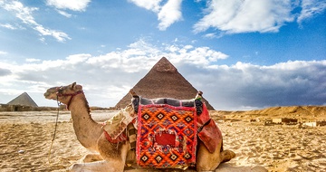 ToursJB's tweet photo. Egypt, probably the world’s oldest civilization, is a treasure trove for history and archaeology enthusiasts who undertake an Egypt tour. It has borrowed from Greek, Roman, Christian and Arab influences over time! #adventure #Egypt #jbcruiseandtours #Nile https://t.co/azySkuooFB