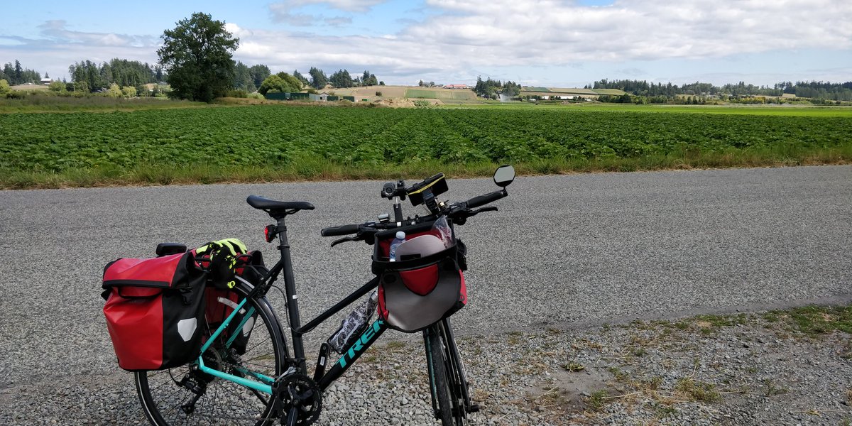 ilovethearts's tweet photo. @Brandon_Lust Love my step through/staggered style bike. Here it is on the #LochsideTrail https://t.co/H7ZVkS1pw3