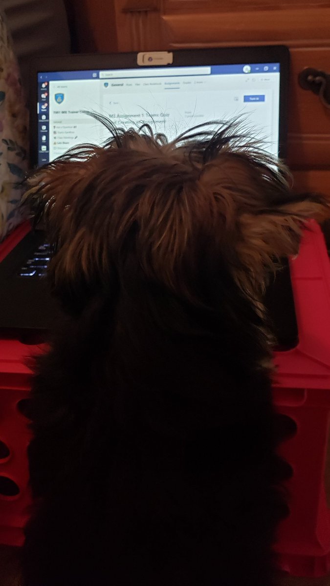 Mrs. Fannin (@mediafannin) on Twitter photo Ready to Support <a href="/LPES_Patriots/">Testing</a> w/ <a href="/MicrosoftTeams/">Microsoft Teams</a> Thank you <a href="/TeamBorders/">Dr. Marcus J.W. Borders</a> <a href="/Mrs_Bongi/">soulgraber</a> <a href="/DJMunson/">DJMunson</a> for your summer π« cohorts! π»πΎπΆπ #MIETrainerCohort6 #MIEE #MicrosoftEDU <a href="/FultonCoSchools/">FultonCountySchools</a> #universalremotelearning #fcsmie #mieexpert <a href="/payne_adel/">James π
ΏοΈayne Jr.</a> <a href="/SheralynShepard/">SheralynShepard</a> <a href="/fcsmeti/">Kevin Robinson</a> Ready to Support <a href="/LPES_Patriots/">Testing</a> w/ <a href="/MicrosoftTeams/">Microsoft Teams</a> Thank you <a href="/TeamBorders/">Dr. Marcus J.W. Borders</a> <a href="/Mrs_Bongi/">soulgraber</a> <a href="/DJMunson/">DJMunson</a> for your summer π« cohorts! π»πΎπΆπ #MIETrainerCohort6 #MIEE #MicrosoftEDU <a href="/FultonCoSchools/">FultonCountySchools</a> #universalremotelearning #fcsmie #mieexpert <a href="/payne_adel/">James π
ΏοΈayne Jr.</a> <a href="/SheralynShepard/">SheralynShepard</a> <a href="/fcsmeti/">Kevin Robinson</a>