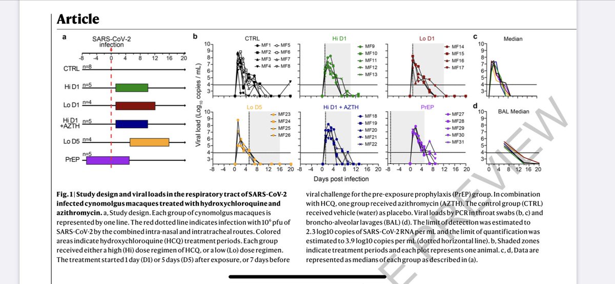 But anyway back to this pandemic.A new paper just came out treating SARS2 infection/COVID in monkeys—a better model for human infections—with HCQ. Here’s a graph from it:
