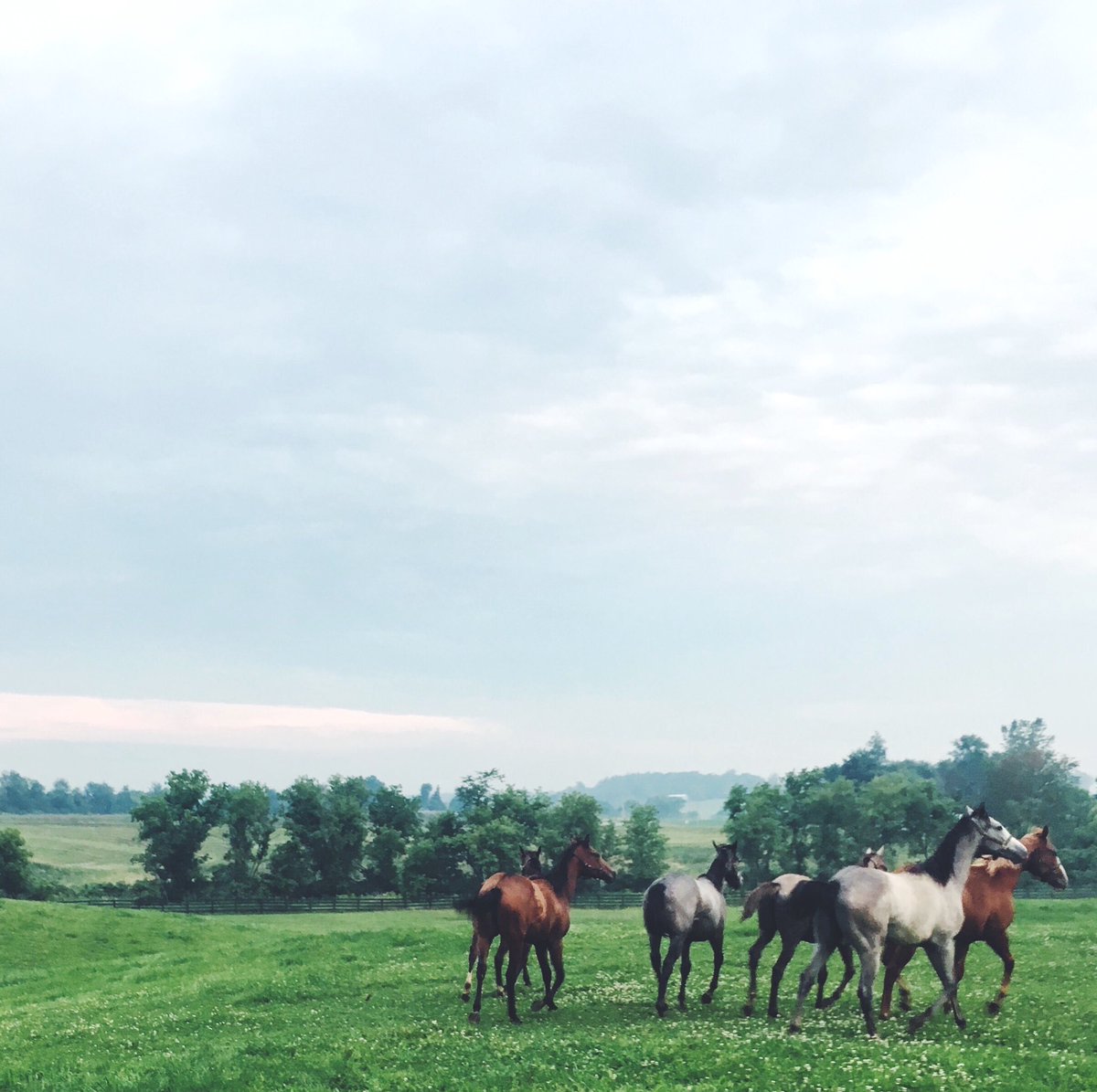 AMcClenning's tweet photo. I miss walking The Farm on warm summer nights like this...

The MACSFIELDNOTES Creative Co. | Alyssa J. McClenning © https://t.co/5bRny3QbXV
