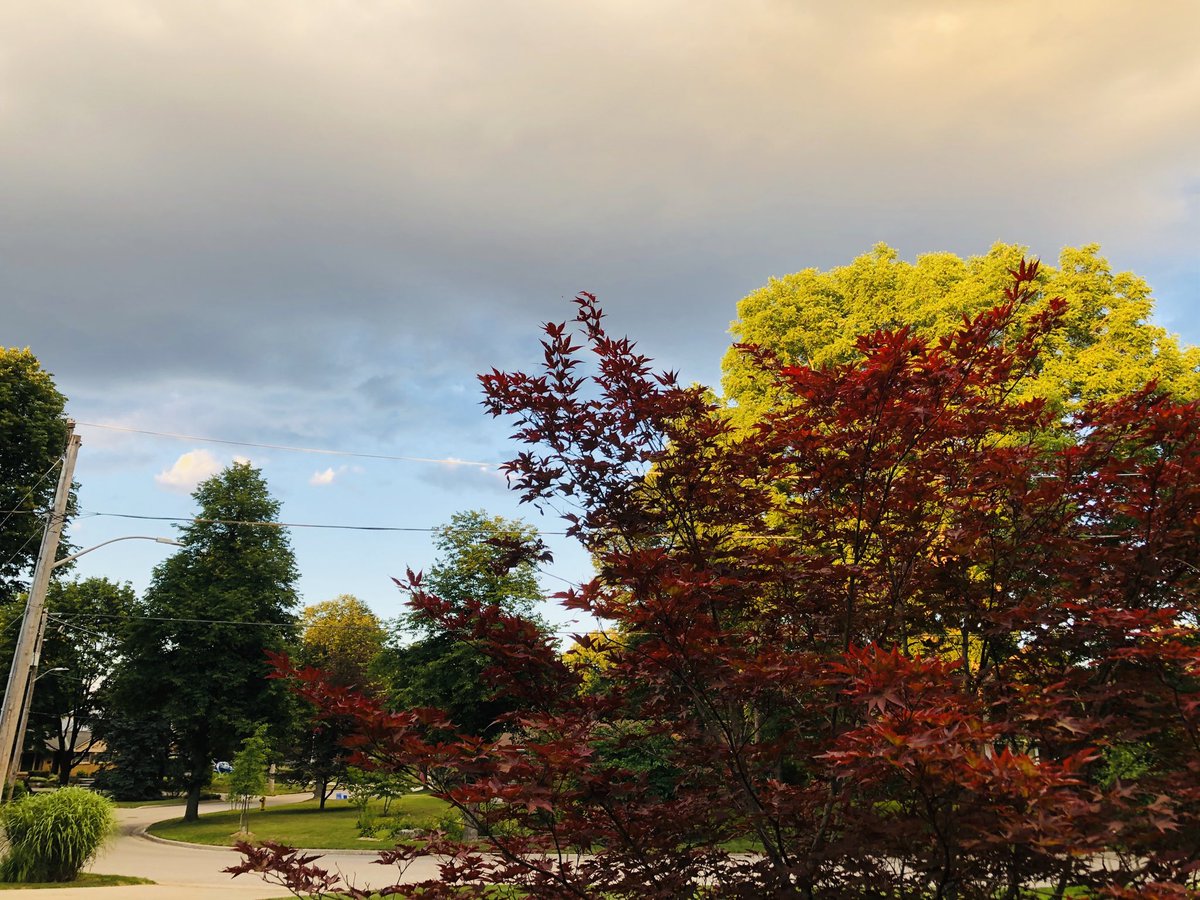 baggaleydesign's tweet photo. The night sky in all of its glorious colour. @weathernetwork @ONWeatherWatch #london #ldnon #summernights #frommybackyard https://t.co/jfcWKoy7Fc