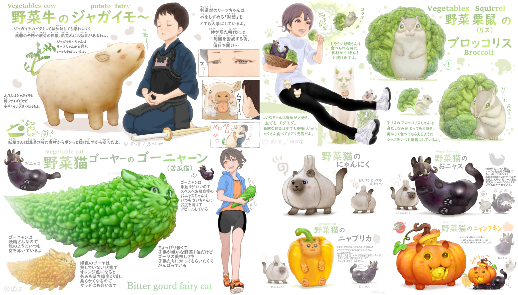ぽん吉 おやさい妖精さん 白菜犬のハクサイヌ 白菜は約95パーセントが水分でできていて低カロリー ビタミンcはレタスの約4倍で肌荒れに効果があって血圧も下げ むくみの防止や風邪もひきにくくする効果があるといわれているわよ おやさい妖精さんは