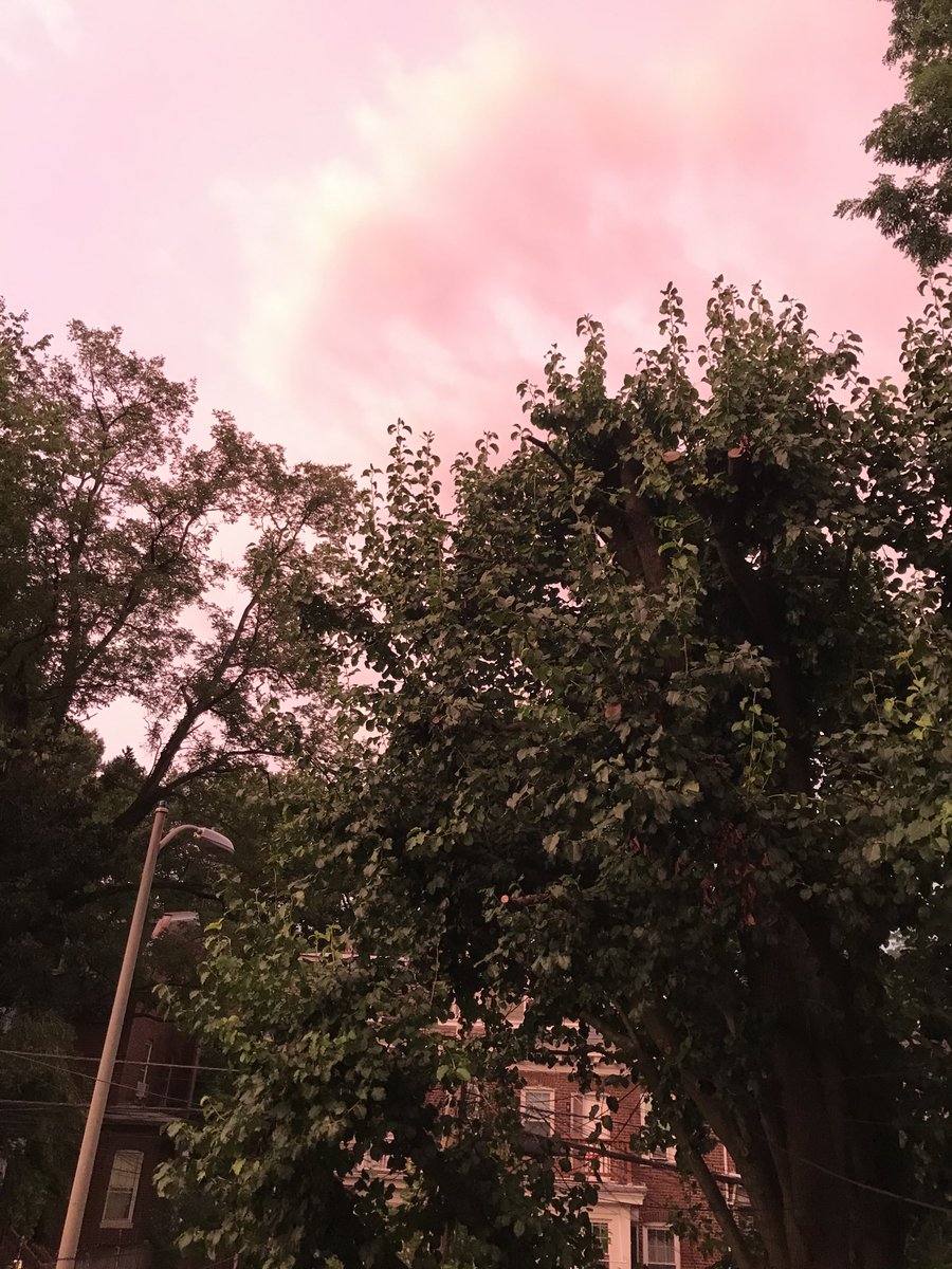 yesimoruc's tweet photo. Splendid colors of tonight’s sky in DC!  Hoping it’s a sign of good things to come. #dcsky https://t.co/D4hqzxlxJq