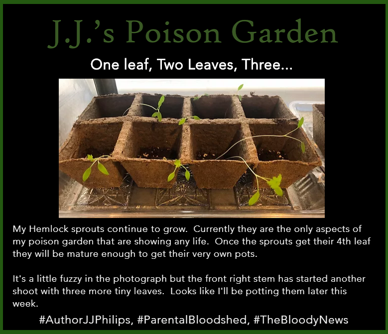 AuthorPhilips's tweet photo. #AuthorJJPhilips,#Dayton,#Etsy,#HomeGarden,#JJRecommends,#JJsPoisonGarden,#NightmaresINC,#Ohio,#WiHM,#bloodsplatter,#booklover,#books,#bookworm,#horror,#horrorfiction,#horrornovelist,#itsjjphilips,#jjphilips,#parentalbloodshed,#poisongarden,#reading,#thebloodynews,#writer https://t.co/6J4tG4MFQz