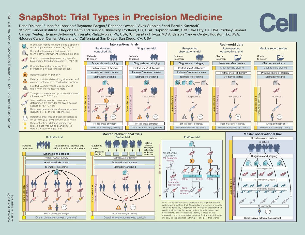 VivekSubbiah's tweet photo. Great that #cell published our At-a-glance Snapshot: Trial Types in #PrecisionMedicine @CellPressNews @DaneJDicksonMD @CellCellPress  https://t.co/SyWocuAgLI https://t.co/Vbr33nyEu2