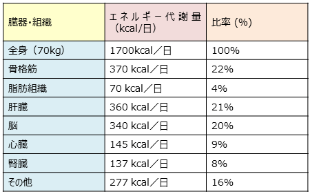L Beauty On Twitter 厚生労働省が出してる大よその性別年代別の 基礎代謝量 の目安 最近は正確とは言えないけど家庭用の体重計でも算出してくれる ちなみに私の基礎代謝量1 000無いの 筋肉量上げていきたい ダイエット 筋肉量 ついでに1日に必要な