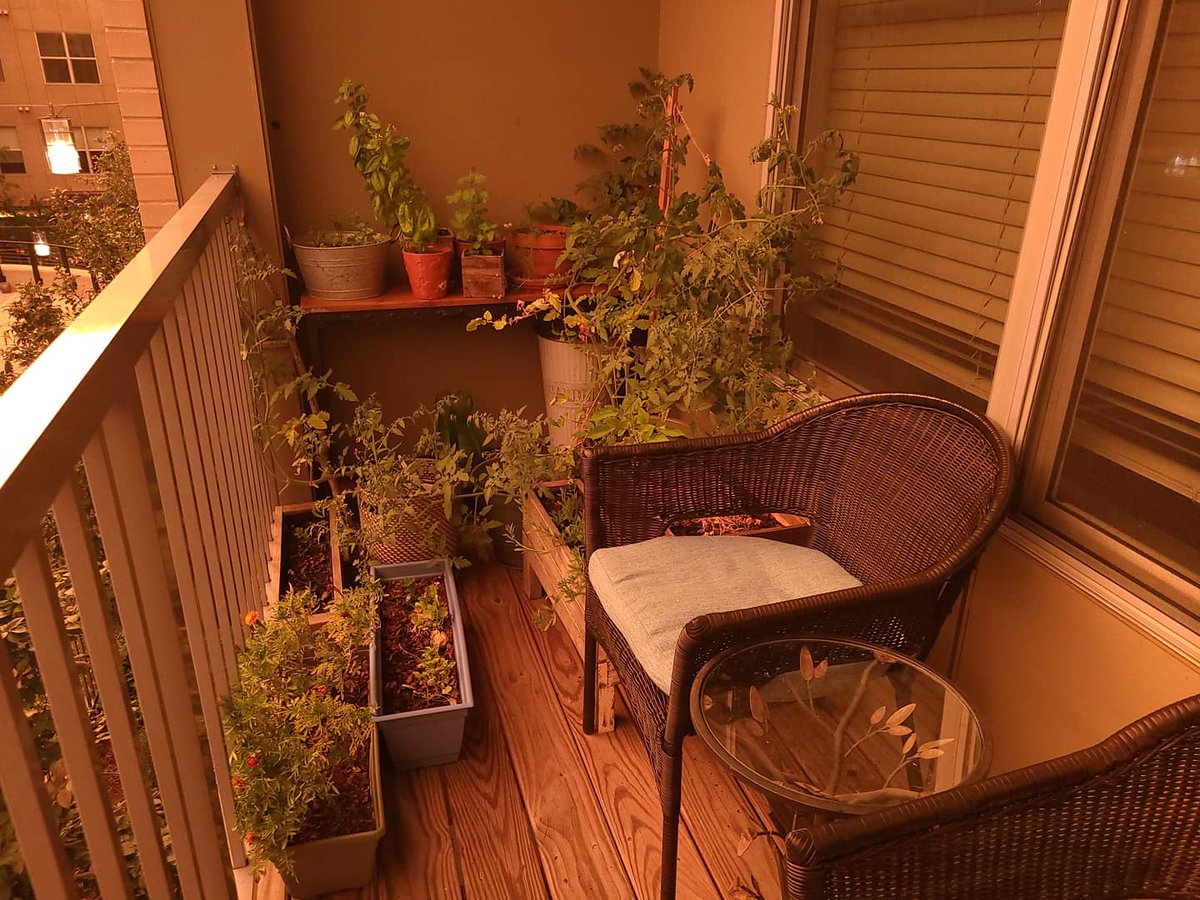 Sunset is insane today ; it's like a natural sepia filter #weather #DC #alexandriava