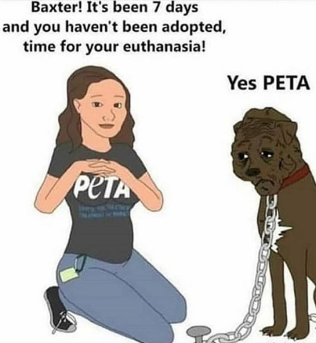 Beck_Optic's tweet photo. @peta https://t.co/dakPhlzIfA