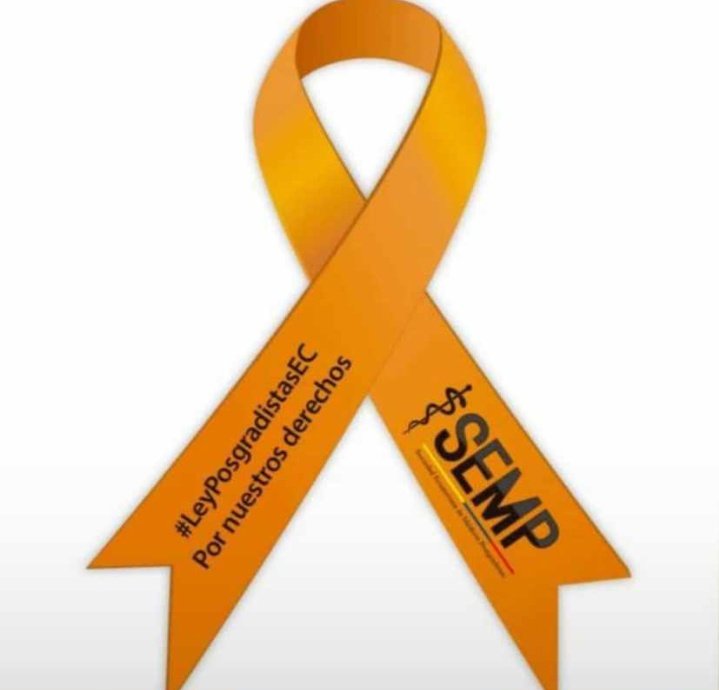 danielvimora's tweet photo. MÉDICO POSGRADISTA DEL ECUADOR..
Estás dispuesto a luchar por tus derechos?? ✊🏻🎗
#ZevallosMentiroso
#PosgradistasUnidos
#LeyHumanitariaYA
#ASEMPNacional
#ASEMPGuayaquil
#ASEMPCuenca https://t.co/5VRhijOZTn