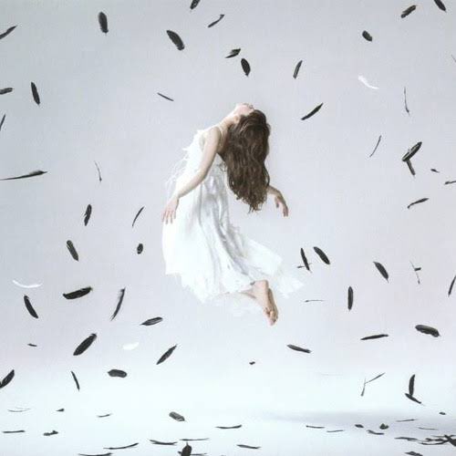 Aimer Staff すごく好きです 美しいです Aimer