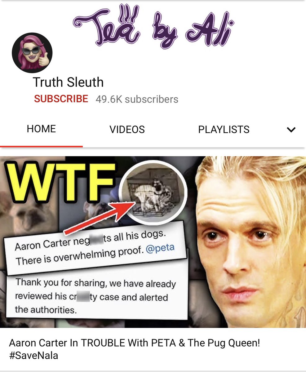 fanggangtv's tweet photo. WOW #AaronCarter THIS is hideous & abusive behavior! #TruthSleuth disapproves of your treatment of your animals too!
Watch full video on YT HERE!
👉https://t.co/jIkqsqwMjQ
#SaveNala #SaveZues #ThePugQueen #AaronCarterDogAbuser #LAcoAnimalControl #Peta #CancelCarter2020 https://t.co/fNkeYubSMB