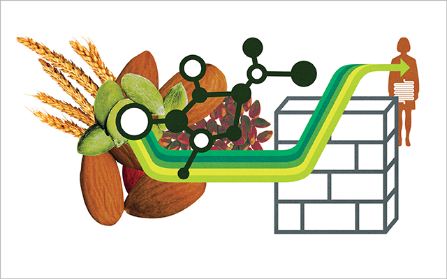 These antinutrients can block the absorption of critical vitamins + minerals or create holes in our intestinal walls.In nature, plants use antinutrients to protect themselves from predators. They help repel pests, bugs so the seeds are able to live + reproduce.