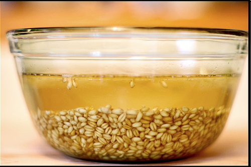 Examples include heat treatments such as boiling, roasting, microwave cooking and autoclaving. Others include processing methods such as dehulling, soaking and fermentation.