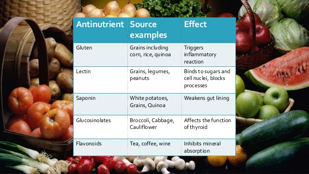 When eaten in very high concentrations, even “good antinutrients” can inhibit digestion of copper, iron, zinc and vitamin B1, along with enzymes, proteins and starches found in plant foods.