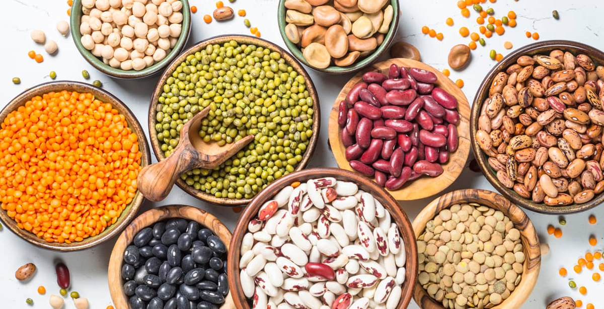 Top Foods with Anti-Nutrients to AvoidLegumes: cowpeas, peas, kidney bean seeds and peanuts contain antinutrients such as tannins, phytic acid, lectins and trypsin inhibitors. During sprouting or germination, the seed coat is metabolized, thus eliminating the lectins.