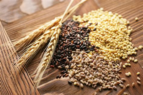 Grains - The hulls of WHOLE grains contain the antinutrients phytate and saponins. Certain grains — wheat, barley and rye — contain the antinutrient gluten. Fermentation breaks food down with the help of beneficial bacteria. These bacteria digest and convert antinutrients.