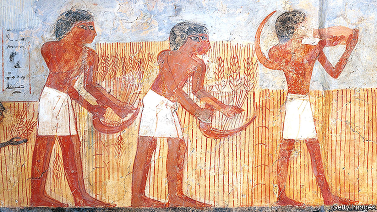 EVERY food has varying degrees of pros and cons. Evolution has shaped human bodies so that we can eat and metabolize certain foods better than others. Humans are perfectly capable of thriving on pastured meat, animal fats, wild-caught seafood, seasonal vegetables and fruits.