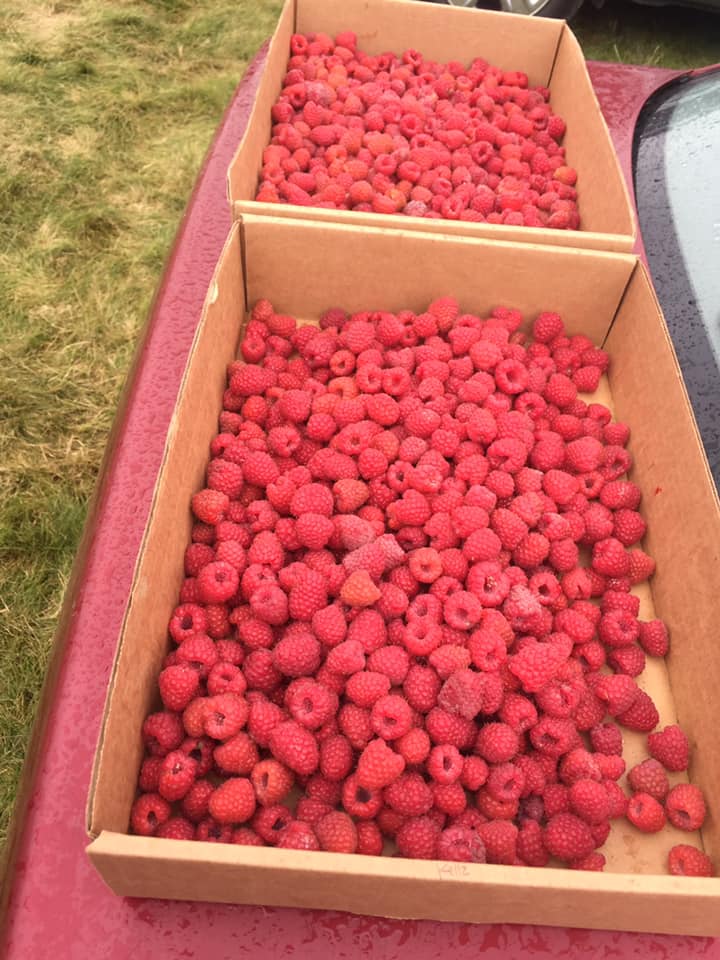 Remlinger Farms tweet media