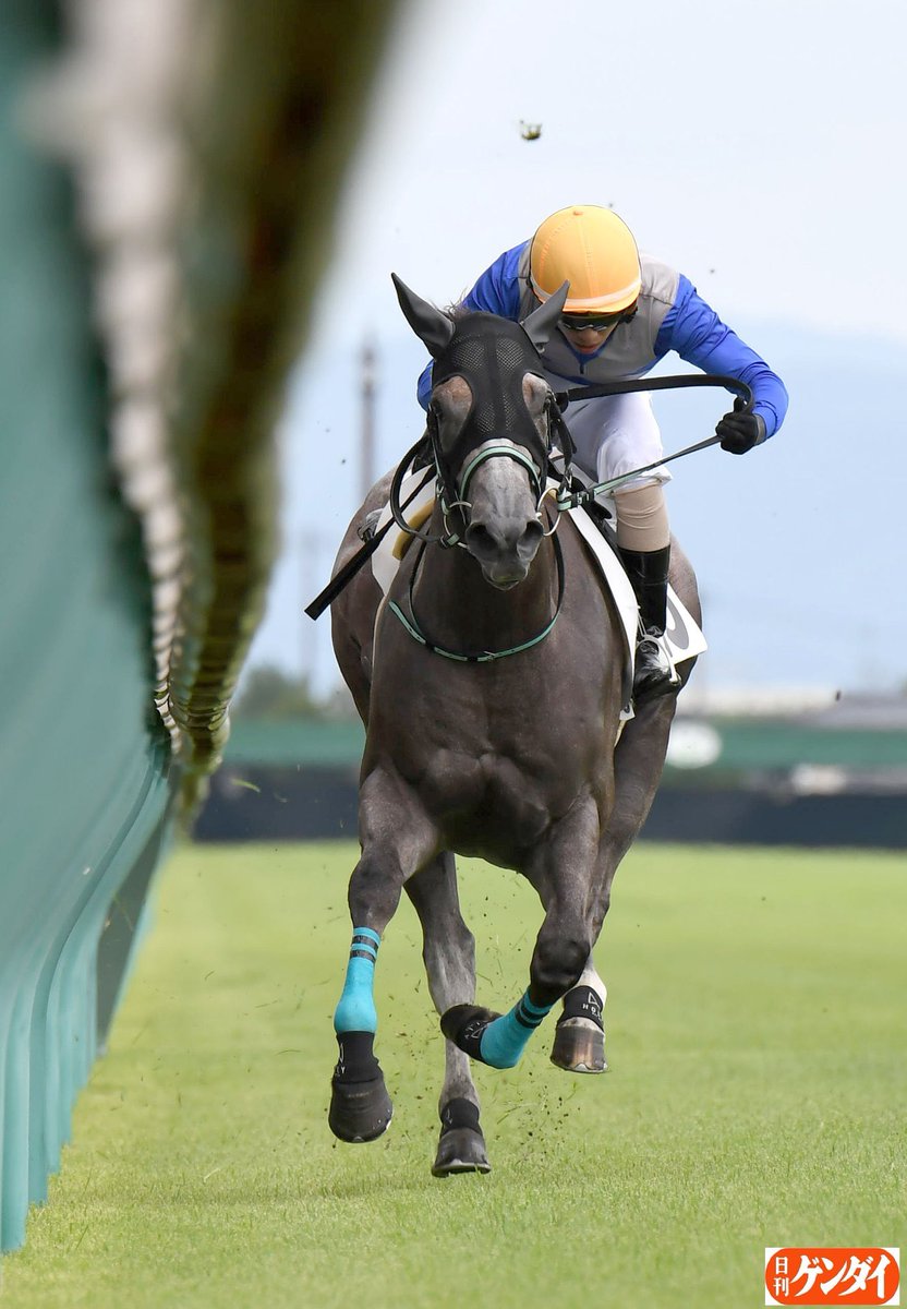 リフレイム 衝撃のデビュー戦勝利を経て調教再審査へ 育成屋の意地 英知結集 課題克服出来るかのか 国内外から買い取りオファー 令和の爆弾娘誕生か Reframe Togetter