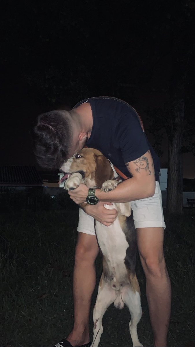 PedroRule's tweet image. 