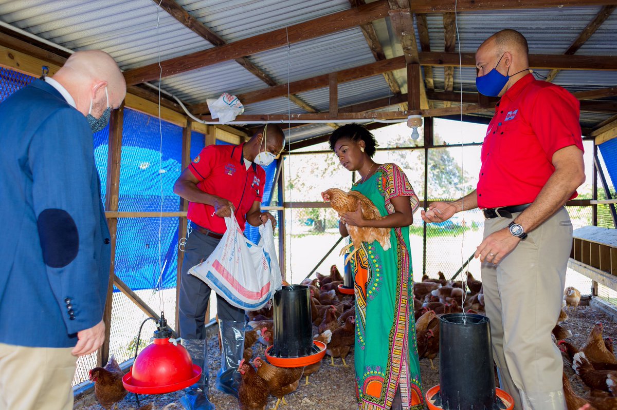 Our chicken Coup is up and running at our Children’s home thanks to #HiPro Very happy! <a href="/MaxfieldParkCh/">Maxfield_Park_Official</a>  #Statecare