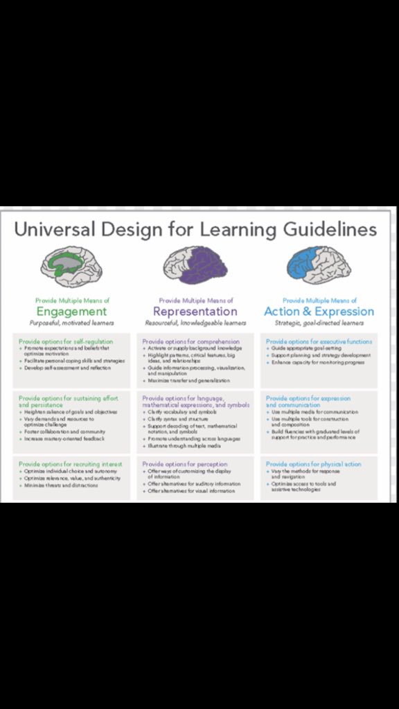 Lisa Lutz tweet media