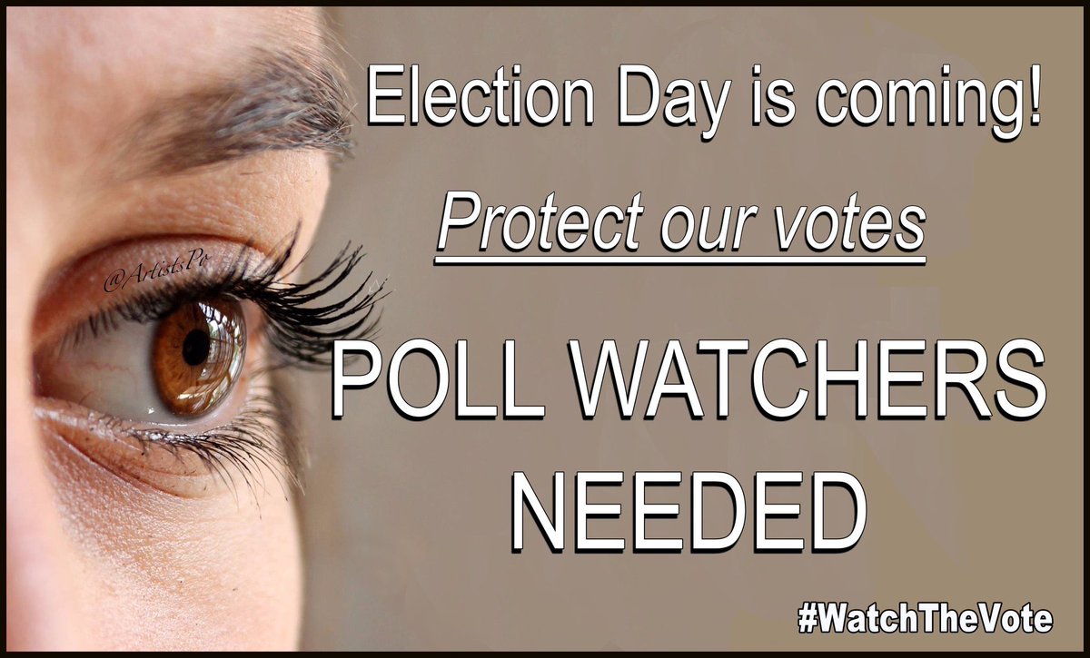 You can volunteer as a poll worker or watcher through your state or county political party. We need both workers and watchers. Pls sign up if you can! 12/