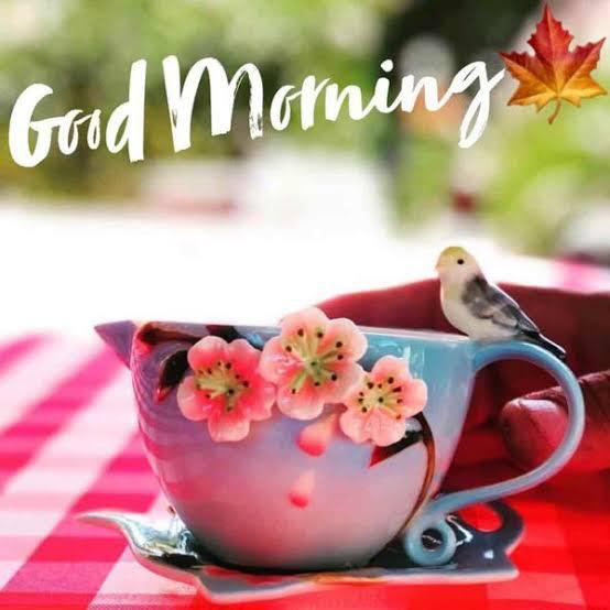 शुभ प्रभात मित्रो 
जय जोहार जय जोहार
