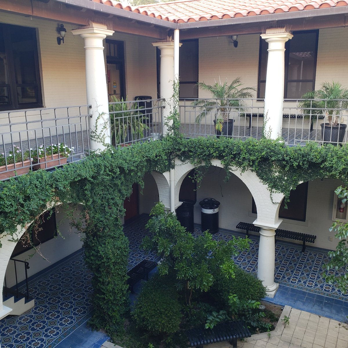 CapoJ007's tweet photo. I recently cleaned out my office and saw that nature has decorated our @txsthistory courtyard. I miss my history comrades, students, and professors. Looking forward to getting coffee with y'all again someday.
#ExtraShotOfHistory #HistorianInRepose #TXST #TXSTGC #PublicHistory https://t.co/5han9amHP0