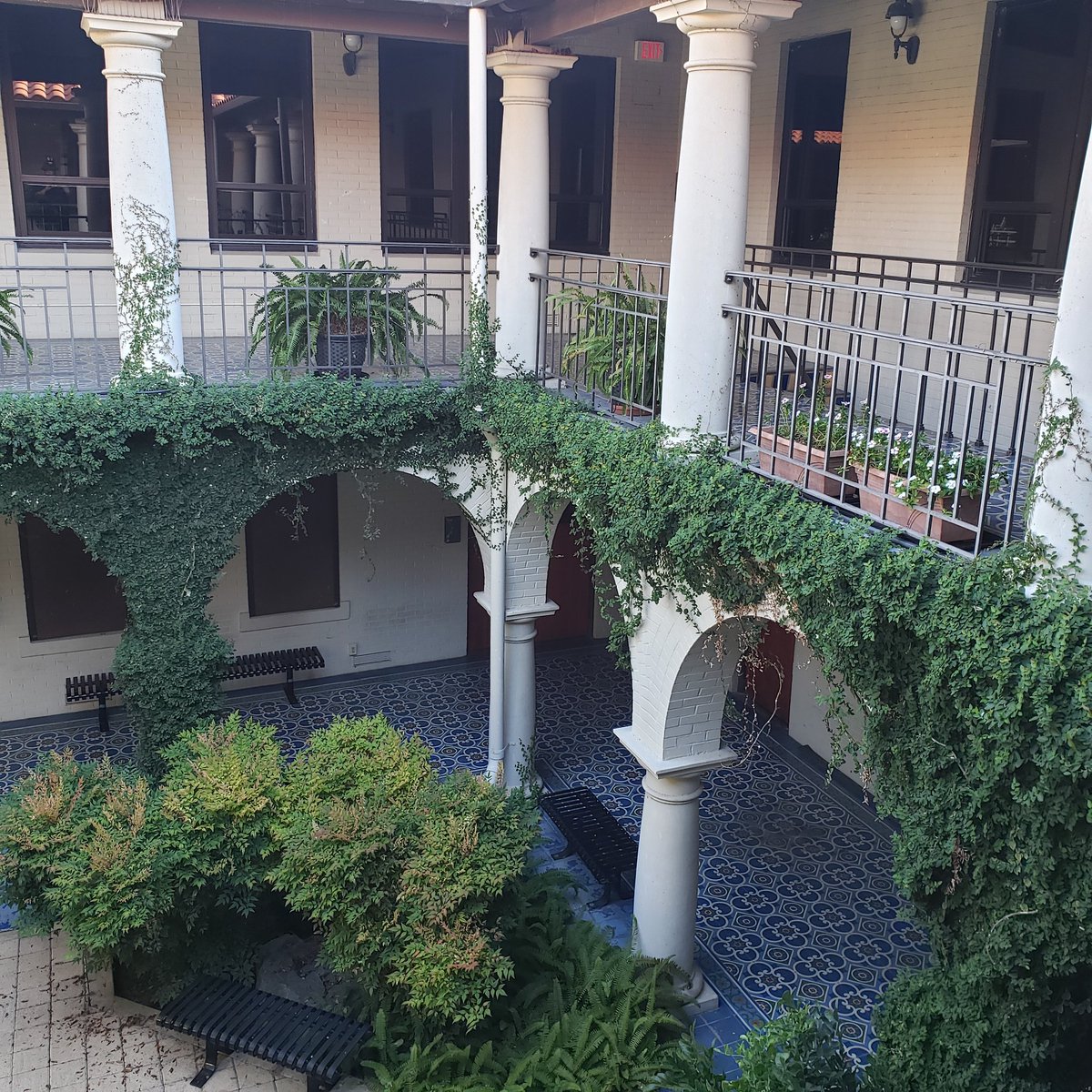 CapoJ007's tweet photo. I recently cleaned out my office and saw that nature has decorated our @txsthistory courtyard. I miss my history comrades, students, and professors. Looking forward to getting coffee with y'all again someday.
#ExtraShotOfHistory #HistorianInRepose #TXST #TXSTGC #PublicHistory https://t.co/5han9amHP0